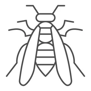 Bee thin line icon, Insects concept, wasp sign on white background, honeybee Ilustração Stock