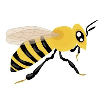 Bee vector icon on a white background. Insect illustration isolated on white Stock Illustration