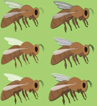 Bee vector illustration Stock Illustration