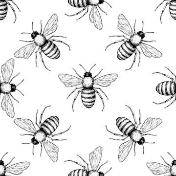 Bee vector seamless pattern. Hand drawn insect background. Illustrazione stock