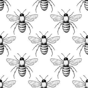 Bee vector seamless pattern. Hand drawn insect background. Stock Illustration