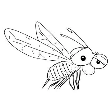 Bee, wasp hand drawn. Stock-Illustration