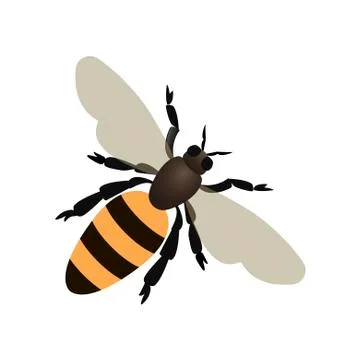 Bee, wasp on white background. Vector illustration in trendy flat style. EPS 10 Stock Illustration