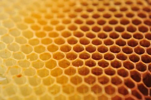 Bee wax clay Stock Photos