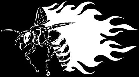 Bee in white line on black background Stock Illustration