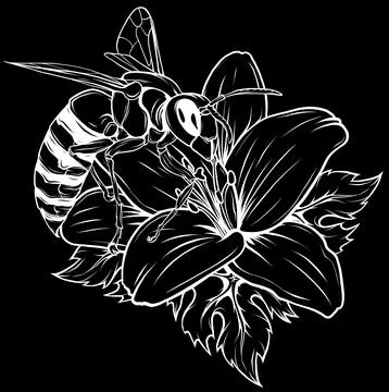 Bee in white line on black background Stock Illustration