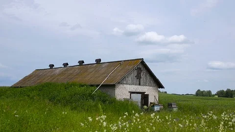 Bee winter house. Hangar for beekeeping. Stock-Footage 78991938