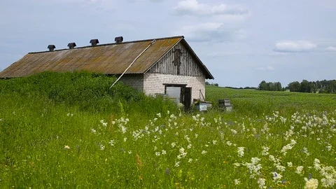 Bee winter house. Hangar for beekeeping. Video stock 80077832