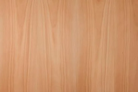 Beech background Stock Photos