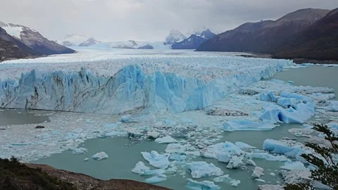 Beech Branches Framing Icebergs And Glacier Wall, Argentina 8K Stock-Footage 306470536