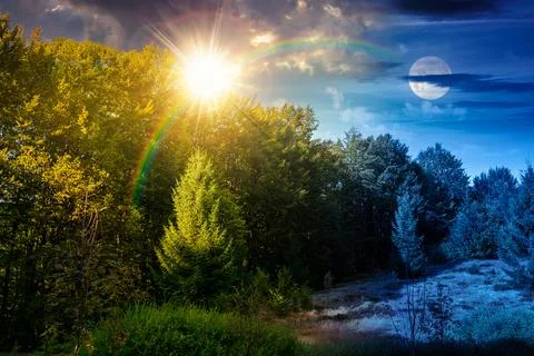 Beech forest on the hill on summer solstice Stock Photos