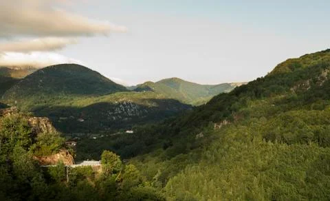 Beech forest in Navarra. Stock Photos
