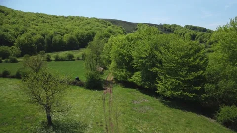 Beech forests and pastures in spring. Belate. Navarra Vídeos de archivo 194330794