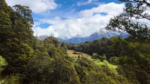 Beech framed view over the Routeburn valley, New Zealand Stock Footage 346405950