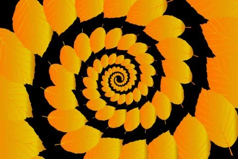 Beech leaf on a black background Stockillustratie