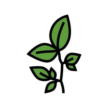 Beech leaf color icon vector illustration Stockillustratie