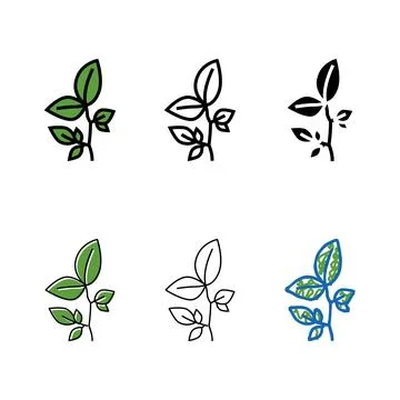 Beech leaf color minimal icon vector Stock Illustration