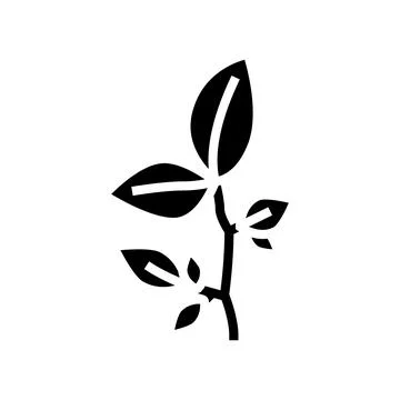 Beech leaf glyph icon vector illustration Stock Illustration