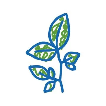 Beech leaf icon doodle illustration Stock Illustration