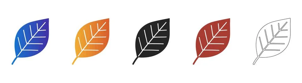 Beech leaf icon set for botanical design Stock Illustration