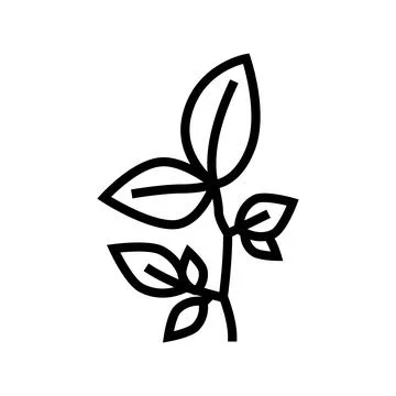 Beech leaf line icon vector illustration Stockillustratie