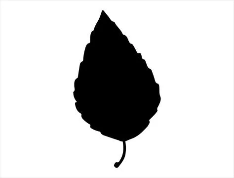 Beech leaf silhouette vector art Stock Illustration