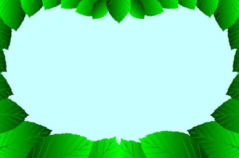 Beech leaf - vector frame Stock Illustration
