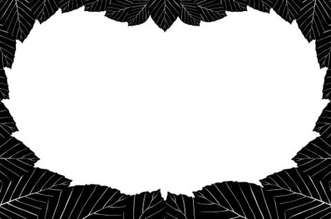 Beech leaf - vector frame Stock Illustration