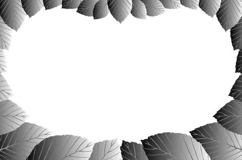 Beech leaf - vector frame Stock Illustration