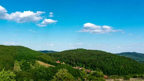 Beech Mountains, Hungary. Stock Footage 198536080
