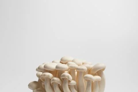 Beech mushrooms Stock Photos