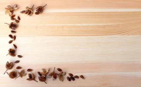 Beech nuts and empty nut shells, half border on wood Foto stock