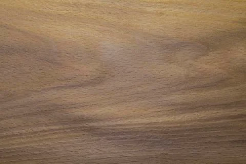 Beech sawed veneer. Backdrop or background wooden. Stock Photos