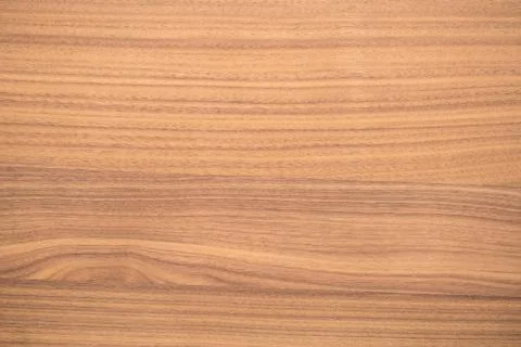 Beech texture with natural pattern Stock Photos