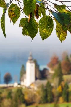 Beech tree branch with aging leaves and old catholic church in background Stock Photos