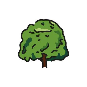 Beech tree color line icon. Pictogram for web page Stock Illustration