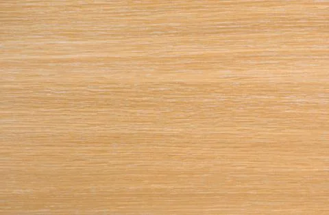 Beech wood Stock Photos