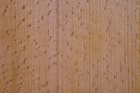 Beech wood texture for use as background or wallpaper Stock Photos