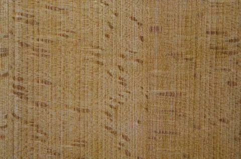 Beech wood texture for use as background or wallpaper Stock Photos