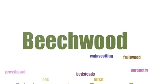 Beechwood Tag Cloud Animated Isolated On White Stock Footage 103668210