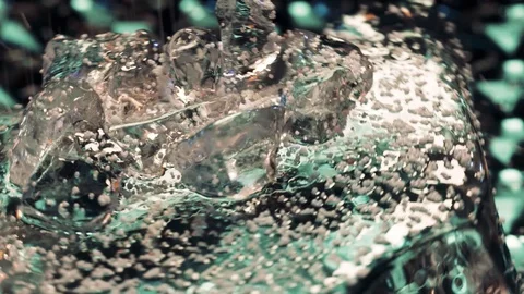 Beeds on ice Stock Footage 121875926