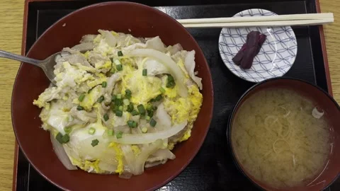 Beef and Egg Rice Set Stock Footage 322972361