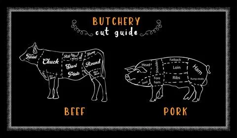 Beef and pork cuts chart and pieces of. Vector. Stock Illustration