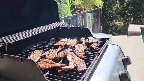 Beef barbeque in grill at a sunny day home backyard Stock Footage 200859327