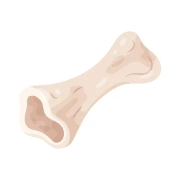 Beef bone Stock-Illustration