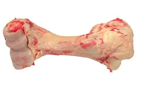 Beef bone Stock Photos