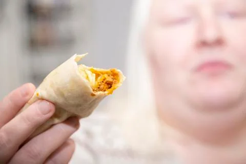 Beef Burrito Stock Photos