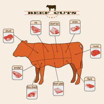 Beef cuts Stock Illustration