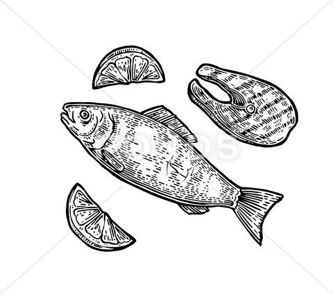 Beef grilled fish steak with lemon top view Stock Illustration
