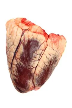 Beef heart Stock Photos
